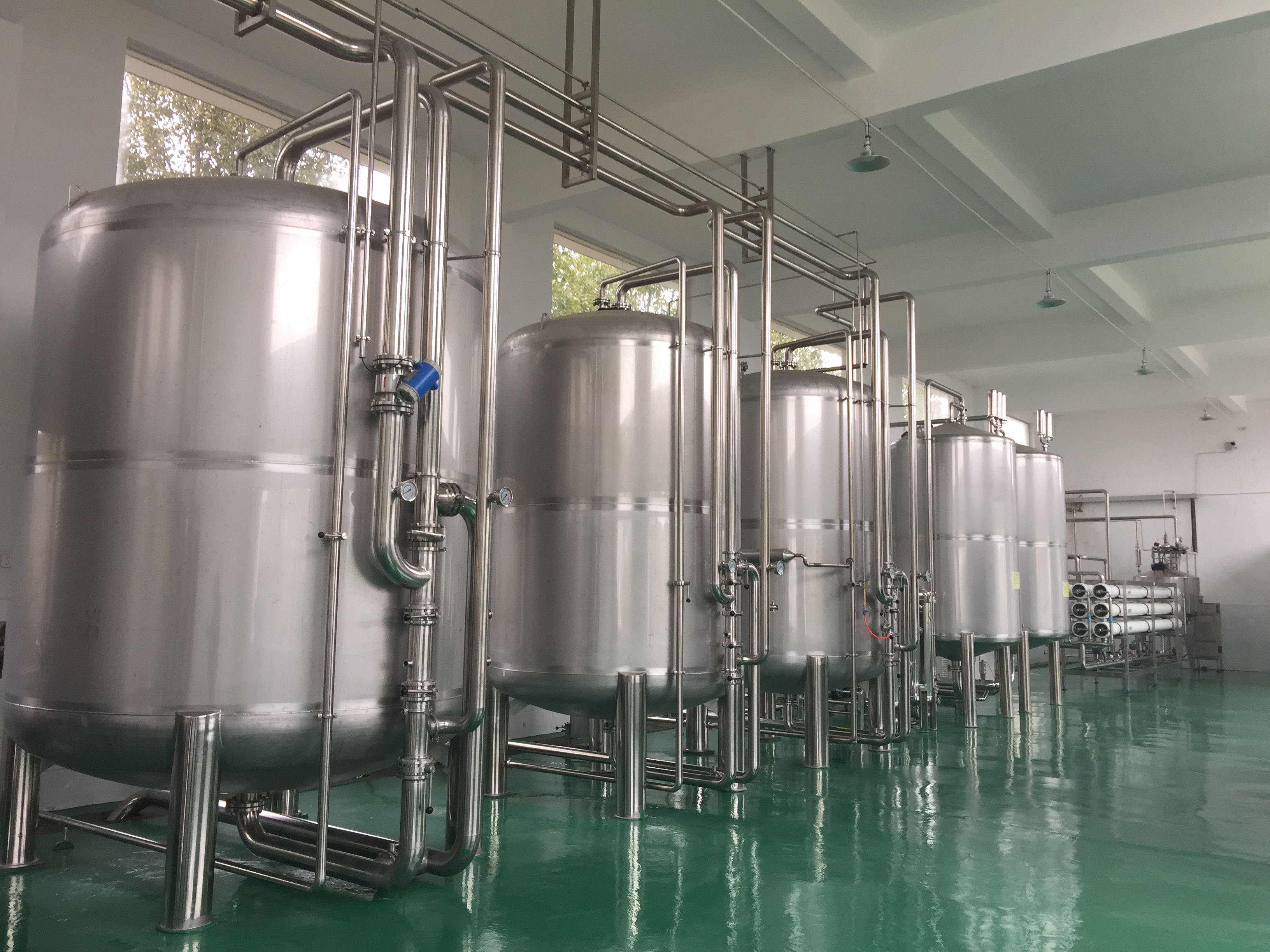 Mineralized water treatment system